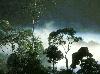 Picture for song 'Darkness calls' by artist 'SuperString'
