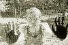 Picture for song 'Dont Push Me' by artist 'Supply and Demand'