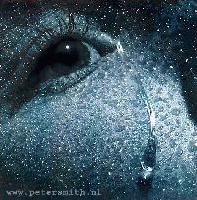 Picture for song 'Can you feel me' by artist 'Surge Paull'
