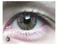 Picture for song 'Snale' by artist 'Surge Paull'