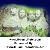 Picture for song 'In This World' by artist 'SwampKats'