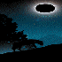 Picture for song 'Moonight ' by artist 'Swampman And The Machine'