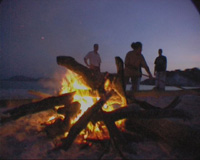 Picture for song 'Rock and Roll was Made for Nights Like These' by artist 'Sweepstakes'