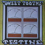 Picture for song 'Music's Gotta Stay' by artist 'SweetToothe'