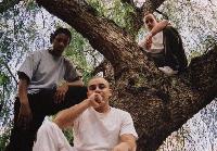 Picture for song 'Fustralia the life we live' by artist 'SWISH Crew'