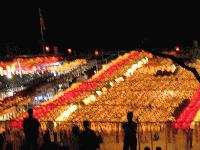 Picture for song 'Bitter Tastes' by artist 'Swiss James'