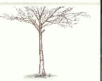 Picture for song 'roots of my rhythm' by artist 'SYMMETRY'
