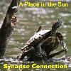 Picture for song 'Easy Riding' by artist 'Synapse Connection'