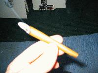 Picture for song 'Rolling Crew!!!!!!!!!!' by artist 'Synchronize'