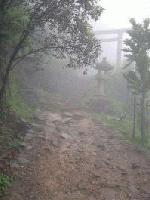 Picture for song 'one note meditation' by artist 'syndicate dnb'