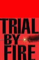 Picture for song 'trial by fire remix' by artist 'syndicate dnb'