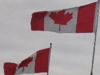 Picture for song 'I am' by artist 'Synesthesia'