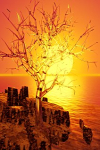Picture for song 'Autumnal Frequencies' by artist 'SYNGULARITY'