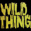 Picture for song 'Wild Thing(COVER)' by artist 'Syntax Airer'