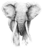 Picture for song 'Void' by artist 'Synthetic Emotion'