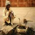 Picture for song 'The Snake Charmer (Mystical Mix)' by artist 'Synthetic Movements'