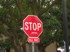 Picture for song 'You Better Stop' by artist 'Synthetic Movements'