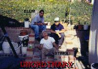 Picture for song 'unordinary life...' by artist 'TACS'