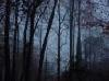 Picture for song 'Pure Evil' by artist 'Tag Bennett'