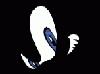 Picture for song 'Sonic' by artist 'TailgatePartyProductions'
