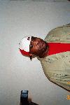 Picture for song 'CRAZY WORLD' by artist 'TAKEOVER ENTERTAINMENT'