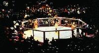 Picture for song 'Step Inside the Octagon !' by artist 'TaLi RodrigueZ 79'