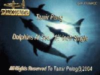 Picture for song 'Dolphins At Sea (Ambient Trance Mix)' by artist 'Tamir Peleg'