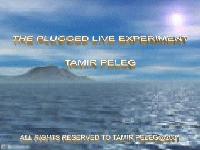 Picture for song 'On The Way Home [Acid Trance]' by artist 'Tamir Peleg'