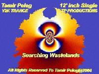 Picture for song 'Searching Wastelands (Totaly Epic Mix)' by artist 'Tamir Peleg'