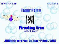 Picture for song 'Wrecking Crue (Clubbers Delight Mix)' by artist 'Tamir Peleg'