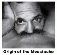 Picture for song 'The Stinky Mustache' by artist 'Tangent'