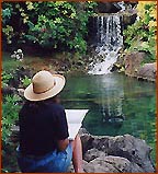 Picture for song 'Jesse Tinsley: Ahe Lau Makani' by artist 'TaroPatch'