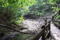 Picture for song 'I DIALED YOUR NUMBER' by artist 'Taste The Level'