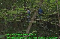 Picture for song 'run' by artist 'Taste The Level'