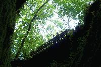 Picture for song 'TECHNO MUSIC' by artist 'Taste The Level'