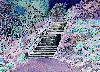 Picture for song 'Prelude in G-sharp minor by Rachmaninoff' by artist 'Tatiana Grecic'
