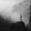Picture for song 'Return to the Ancient' by artist 'Taur Nu Fuin'