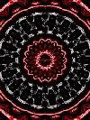 Picture for song 'Blood Red Oak Tree' by artist 'Tear Dry'