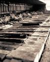 Picture for song 'Improve' by artist 'Tear Dry'