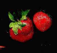 Picture for song 'Islandtonic' by artist 'TECHNO VISION'