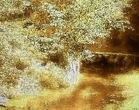 Picture for song 'Rollin (California Dayz)' by artist 'TeK DeEp'