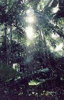 Picture for song 'TeK DeEp's Issues (Mix 4)' by artist 'TeK DeEp'