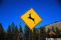 Picture for song 'Quick dancehall mix' by artist 'Teknikscian'