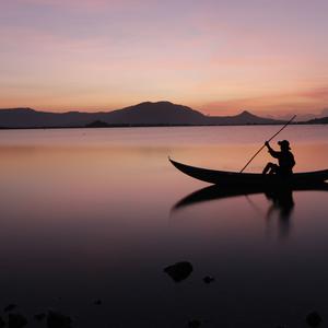 Picture for song 'noctuidee' by artist 'TENMYBLACKSLIDE'