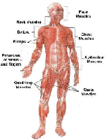 Picture for song 'Climax remix' by artist 'Tequila Togorgeous'