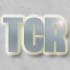 Picture for song 'I Gotcha' by artist 'Terminal City Records'