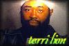Picture for song 'Rock with you' by artist 'Terri Lion'