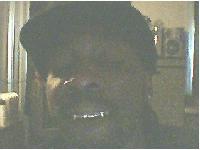 Picture for song 'BACK DOWN FREESTYLE' by artist 'TERROR'