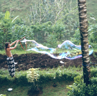 Picture for song 'No Regrets' by artist 'Terry Israelson'