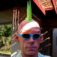 Picture for song 'Original Sin' by artist 'Terry Israelson'